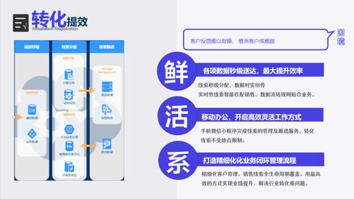 房产经纪人如何有效获客 策略、技巧与实践指南